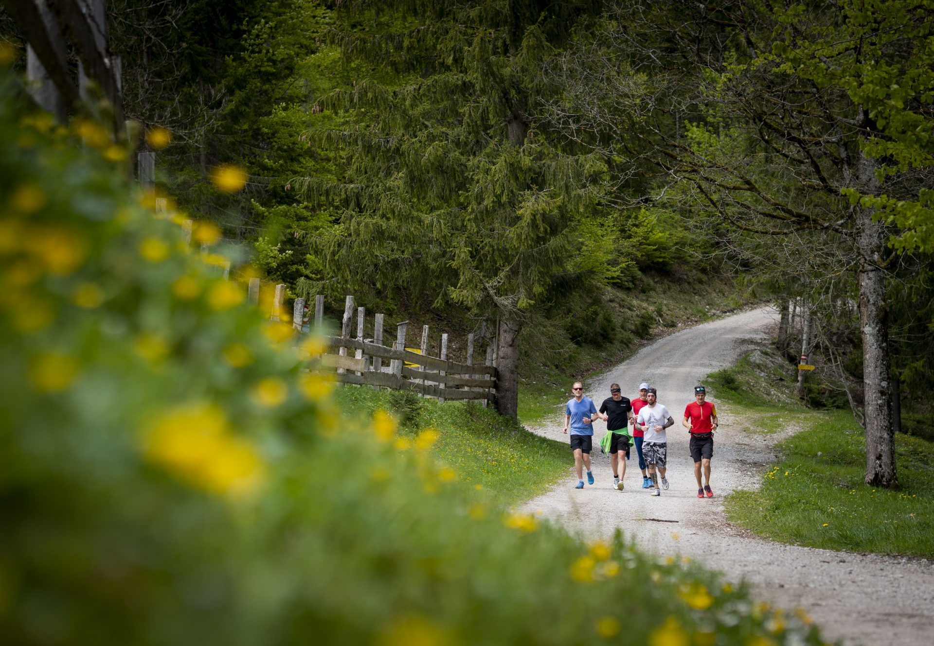 Achensee Laufcamp 2022