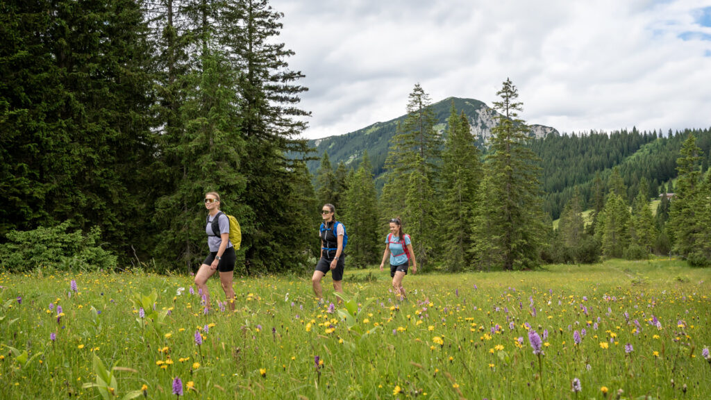 Drei Wanderer in blühender Wiese unterwegs